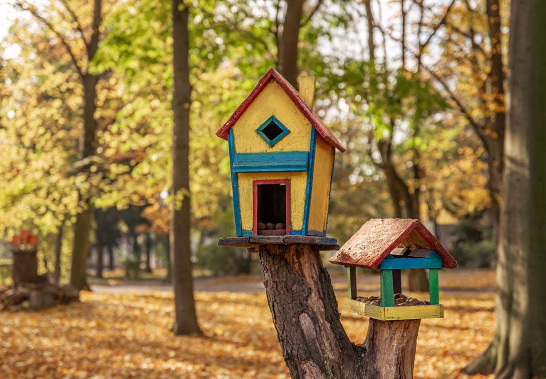 Read more about the article Enchanting Adventures: The Magic of Imaginative Play with Wooden Fairy Houses and Trees